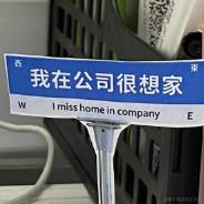 摸鱼小王于2023-09-01 15:24发布的图片