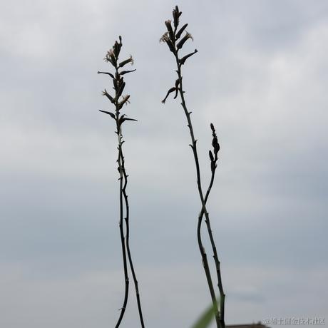 晚子不可以于2022-12-01 12:23发布的图片