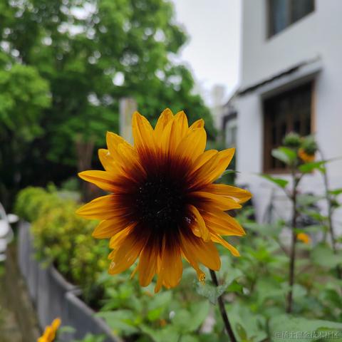 Sarah_于2024-04-23 11:46发布的图片