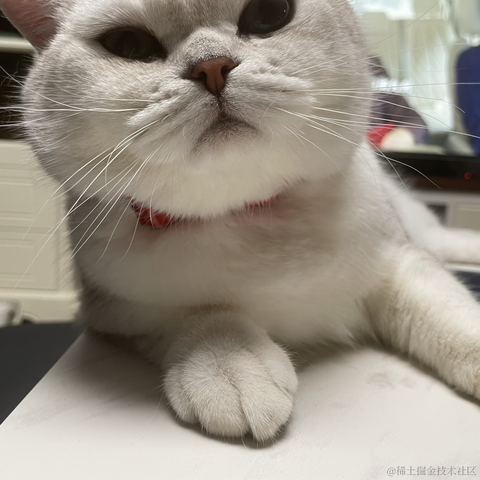 喵怼怼于2023-05-15 09:11发布的图片