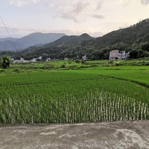 卢安娜的飓风于2023-05-04 09:03发布的图片