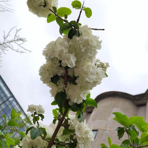 Sarah_于2024-05-28 08:54发布的图片