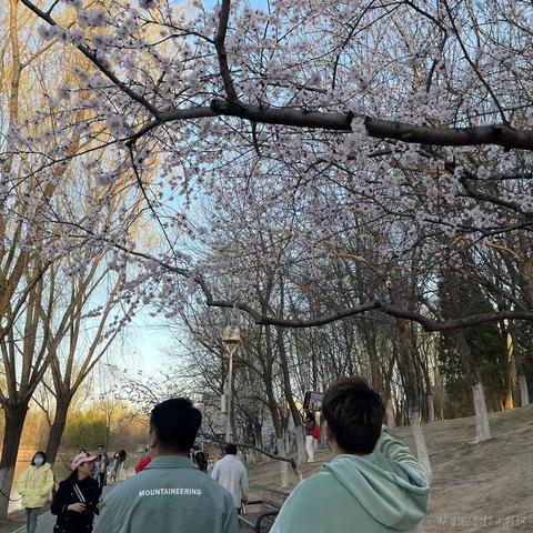 憨憨的八戒于2022-04-01 08:38发布的图片