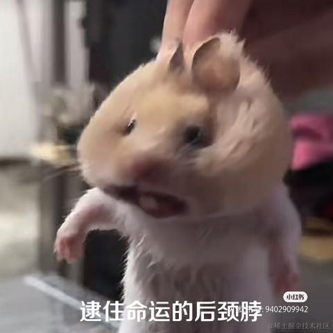 ARan于2023-06-26 22:42发布的图片