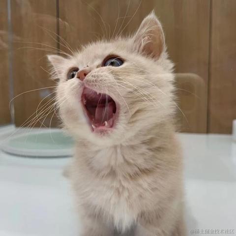 小咪爱摸鱼于2021-07-15 11:11发布的图片