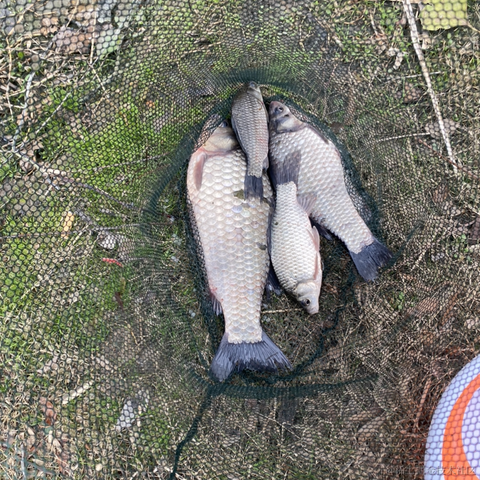 糖醋快乐水于2023-04-25 16:13发布的图片