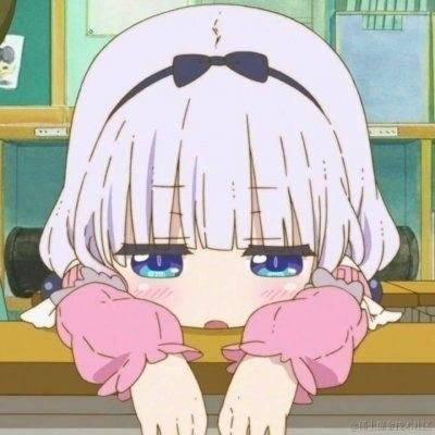 菜鸟的成长与学习