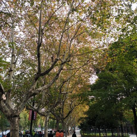 贝拉拉贝拉mua于2022-11-28 08:55发布的图片