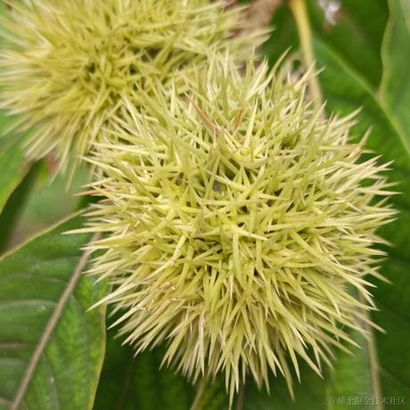 秃头小苏于2023-05-17 16:49发布的图片