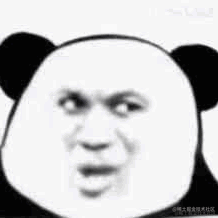 鸭鸭世界第一可爱于2023-06-01 09:38发布的图片