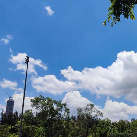 934于2021-05-19 13:29发布的图片