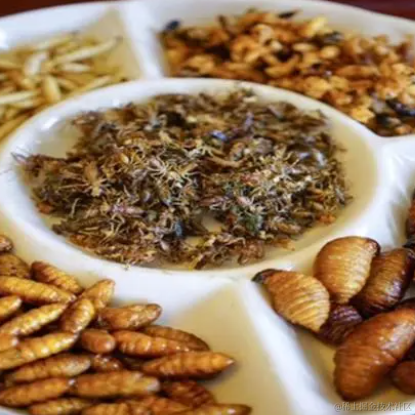 冬日暖阳一片云于2022-11-24 10:09发布的图片