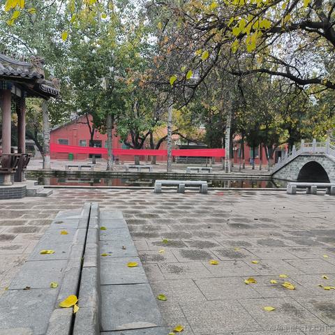 彧琰勳瑛于2022-11-10 10:50发布的图片