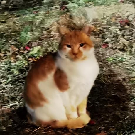 红黄蓝白黑于2022-12-07 00:44发布的图片