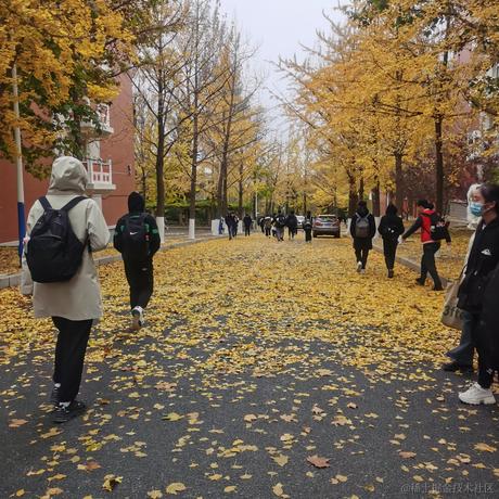 叮咚咚咚于2022-11-03 22:36发布的图片