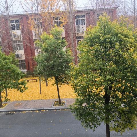 蓝莓南瓜派于2022-12-03 17:49发布的图片