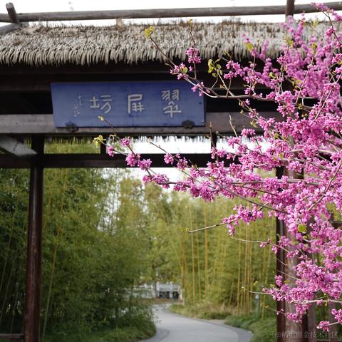 优秀稳妥的金枪小魔王于2023-03-27 10:41发布的图片