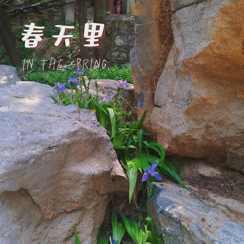 violetBlue于2023-05-10 22:18发布的图片