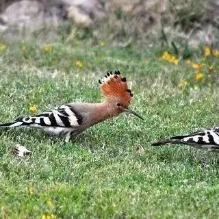 清欢N于2023-04-21 16:56发布的图片