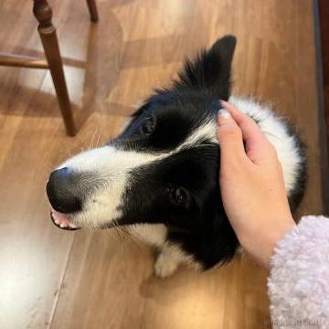 花折亦无情于2022-11-16 17:16发布的图片