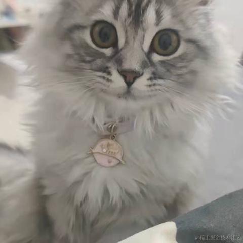 我在海洋里捡垃圾于2022-01-21 11:04发布的图片