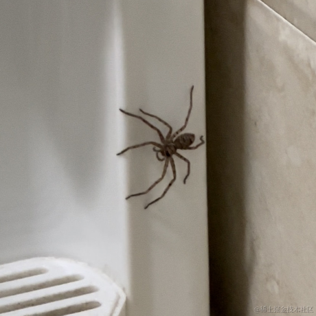 宜遴于2022-11-13 12:31发布的图片