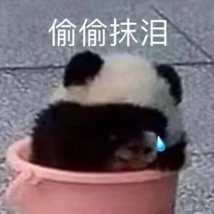 暖阳耀阳于2023-09-26 08:44发布的图片