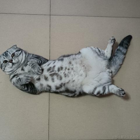 用户2469611626166于2022-11-22 23:02发布的图片