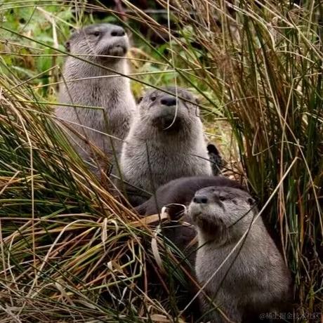 囧史密斯于2022-11-23 19:09发布的图片