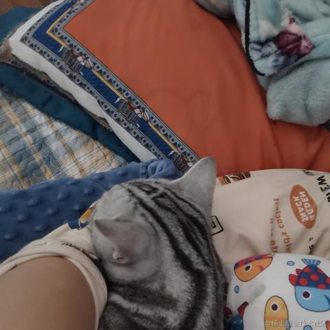 一只辣条于2022-10-11 13:16发布的图片