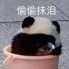 已注销于2020-09-21 09:00发布的图片