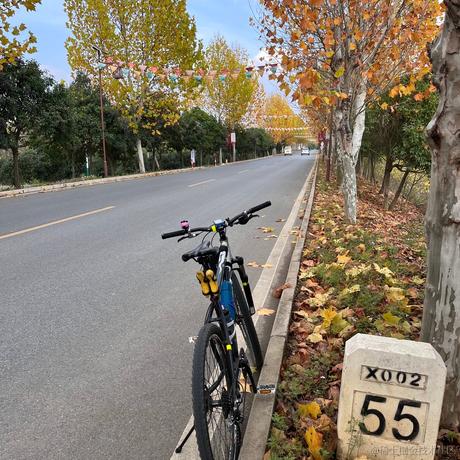 estar于2022-11-28 15:41发布的图片