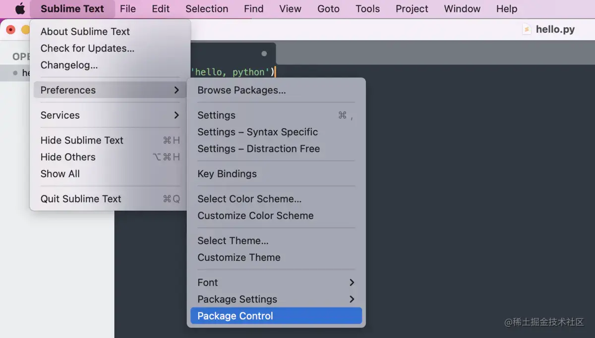 找到Package Control菜单