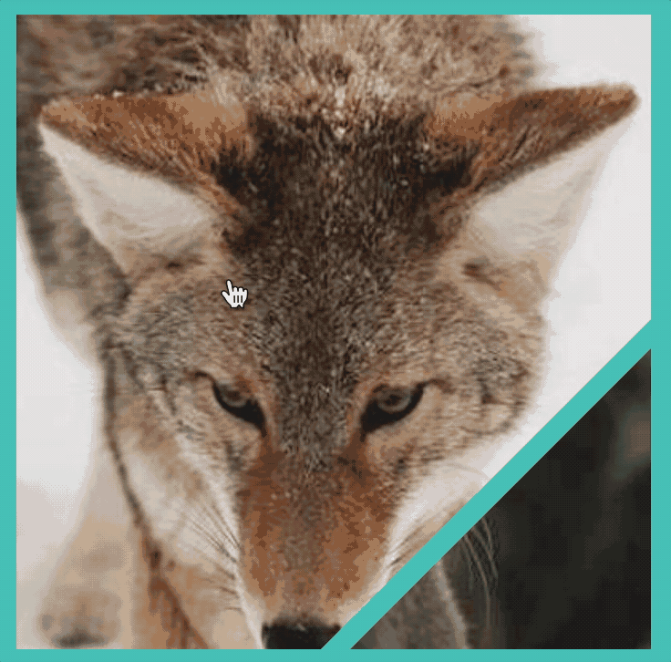 南城FE于2022-12-12 11:20发布的图片