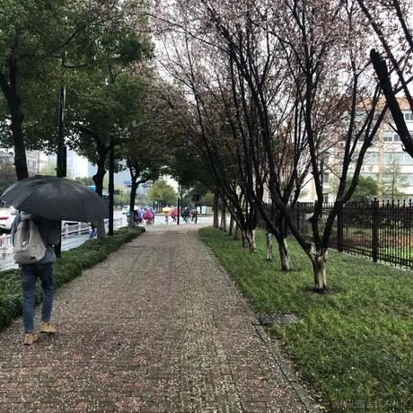 咸鱼哒哒哒于2021-02-26 09:01发布的图片