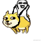 韩_于2023-02-09 16:47发布的图片