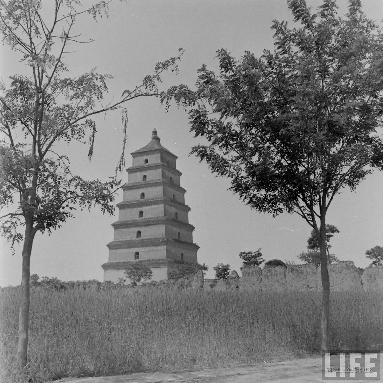 1947年，陕西西安。大雁塔。5.jpg