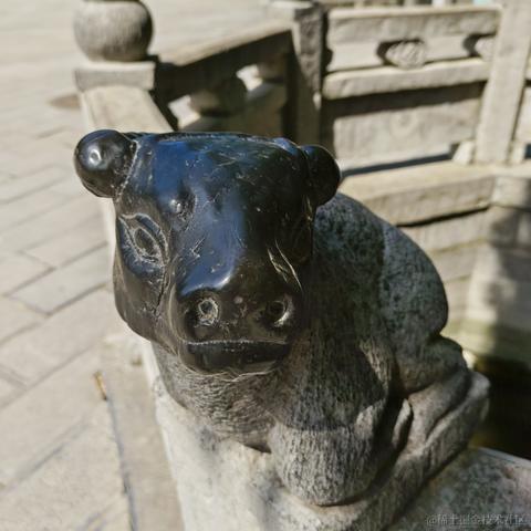 fighter_于2023-05-14 19:55发布的图片