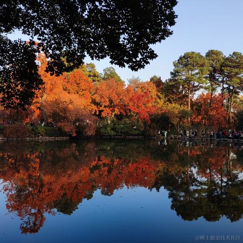 优秀稳妥的金枪小魔王于2023-11-22 11:24发布的图片