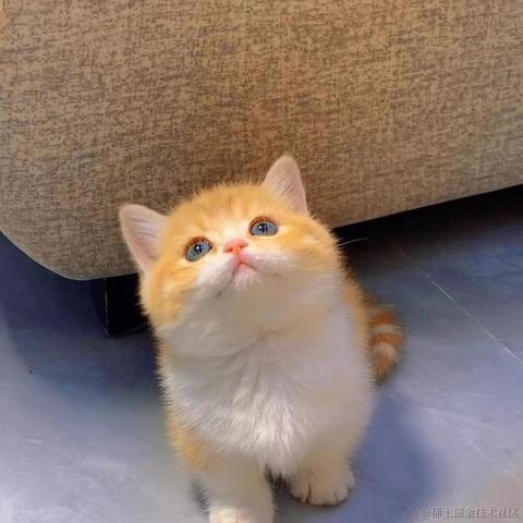 来自艾欧尼亚的最强王者于2022-01-07 22:05发布的图片