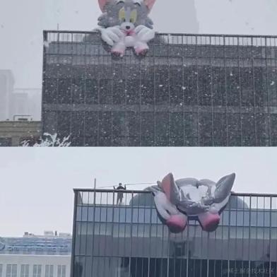 今天宜喝冰阔落于2024-01-25 14:19发布的图片