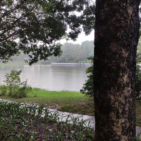 地狱拖拉机于2022-11-28 07:57发布的图片