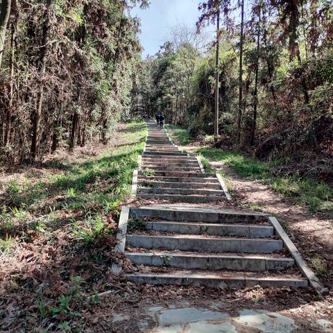 老飞棍于2023-03-19 02:38发布的图片