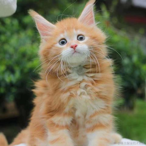 小旭小旭小而含蓄于2021-07-15 07:55发布的图片