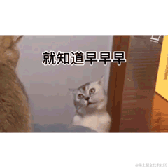 大_佬于2022-11-17 09:25发布的图片