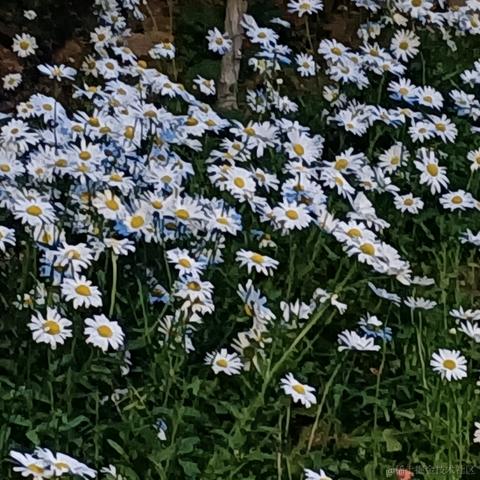 icetm_jim于2023-06-04 21:53发布的图片