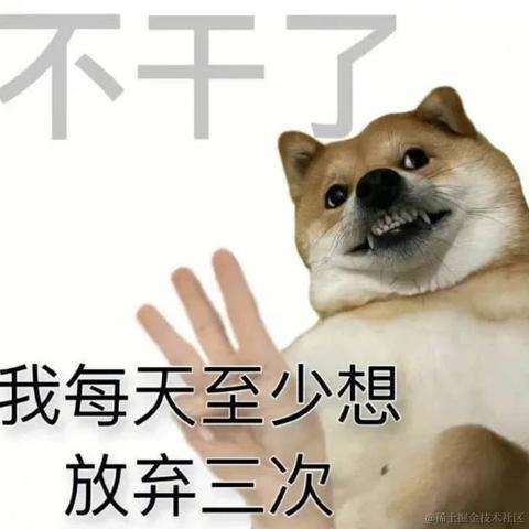 仁可于2022-11-15 22:24发布的图片