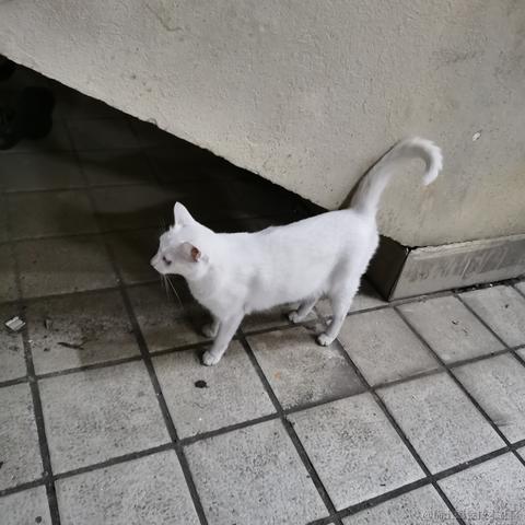 Yj家的孺子牛于2022-11-15 23:43发布的图片