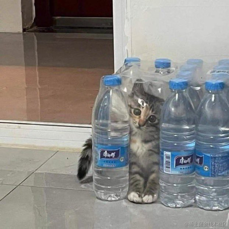 晚晚带suki于2022-12-05 13:42发布的图片