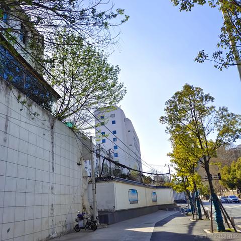 大家好这里是Rea于2023-03-15 10:04发布的图片